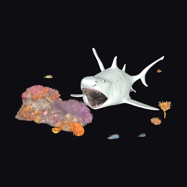 Dead Shark on Ocean Floor