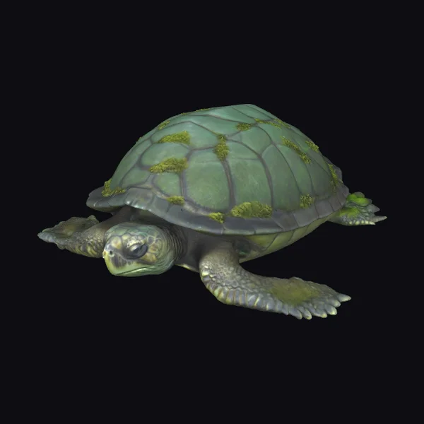 Ancient Sea Turtle