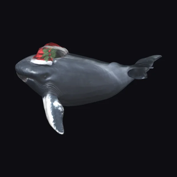 Whale in Santa Hat