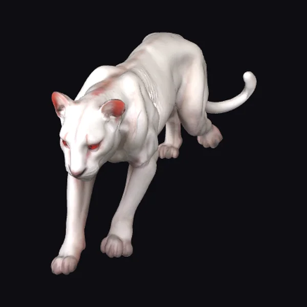 Albino Panther