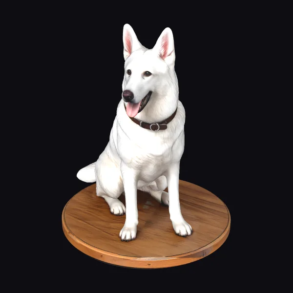 White Shepherd Dog Sitting
