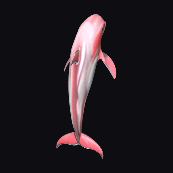 Coral Dolphin