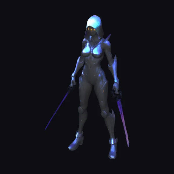 Cyber Assassin with Swords