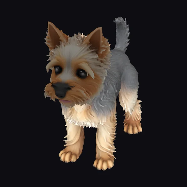 Yorkshire Terrier Dog