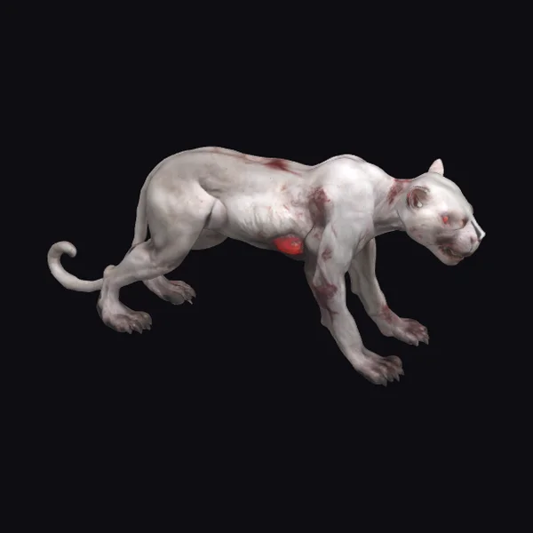 Albino Panthera Zombie