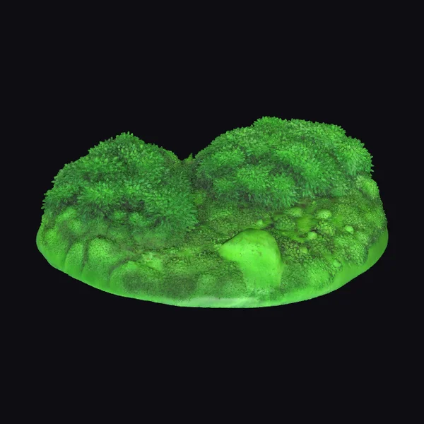 Emerald Green Moss Clump