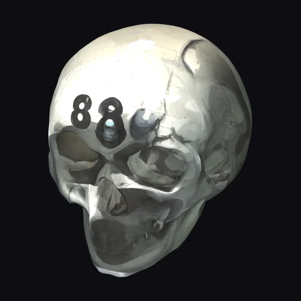 Metallic Skull with Number