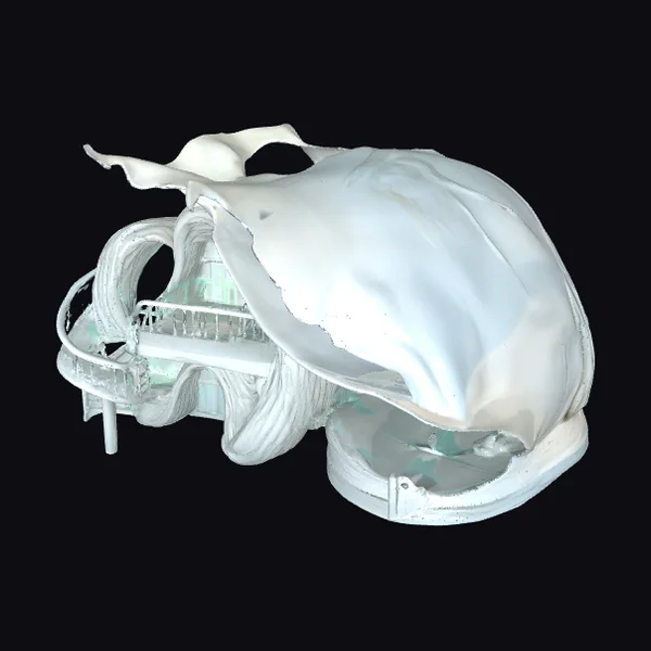 Whimsical Shell House