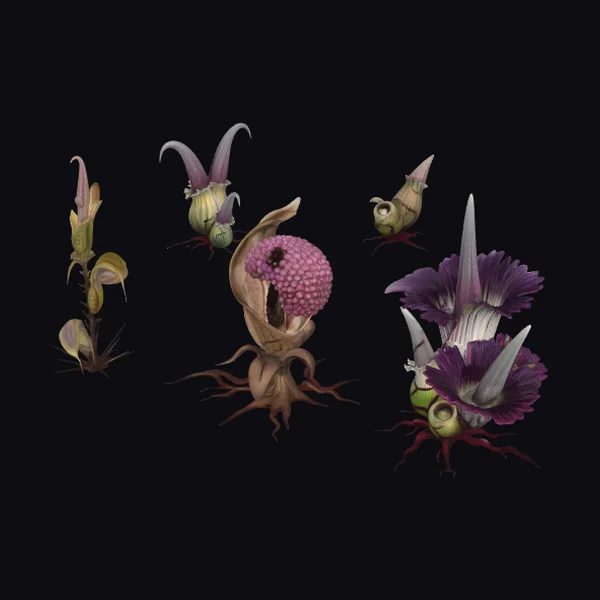 Alien Plant Varieties