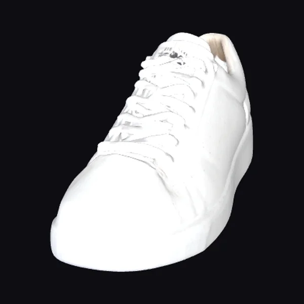 White Athletic Shoe