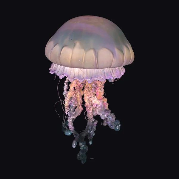 Bioluminescent Jellyfish Model