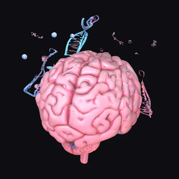 Human Brain with DNA