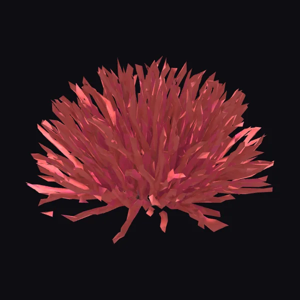 Red Algae Cluster