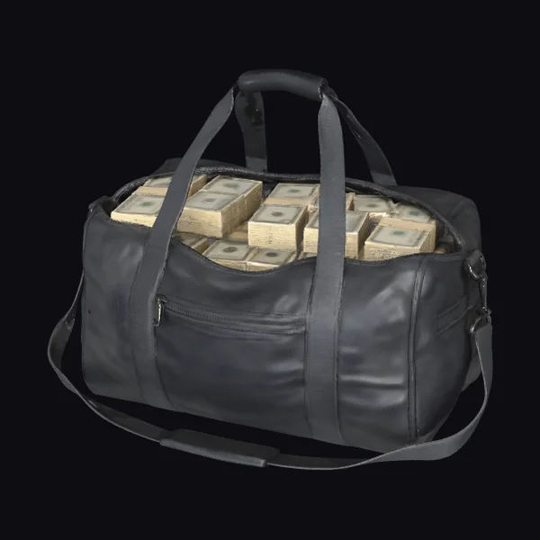 Leather Bag of Cash