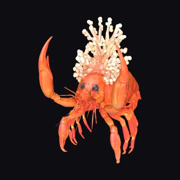 Majestic Shrimp King