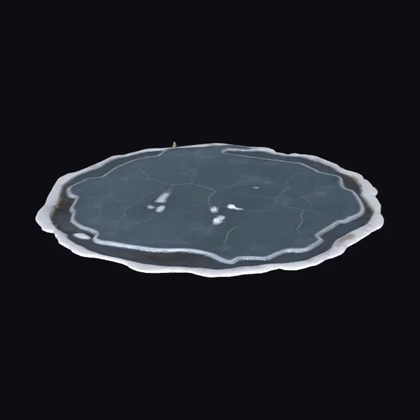 Frozen Pond Ice Surface