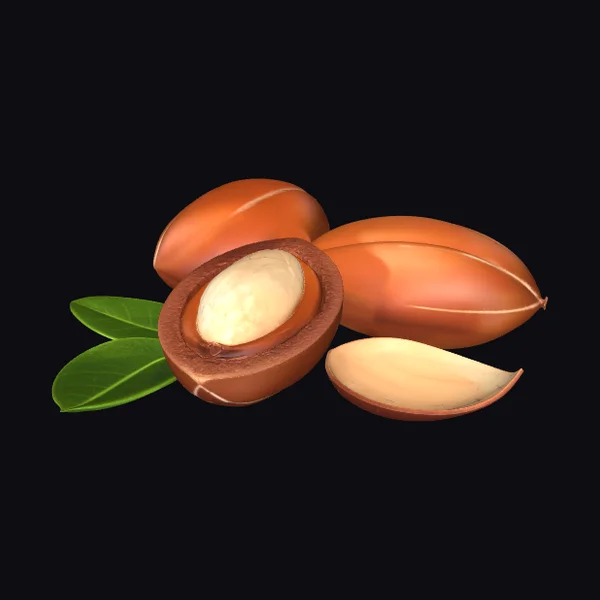 Argan Nuts with Leaves