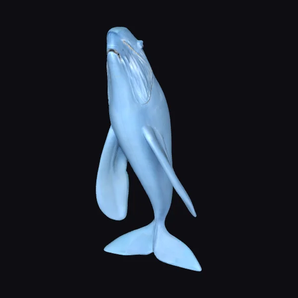 Blue Whale Breaching