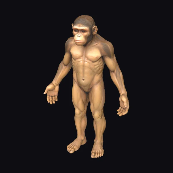 Ancient Ape Standing