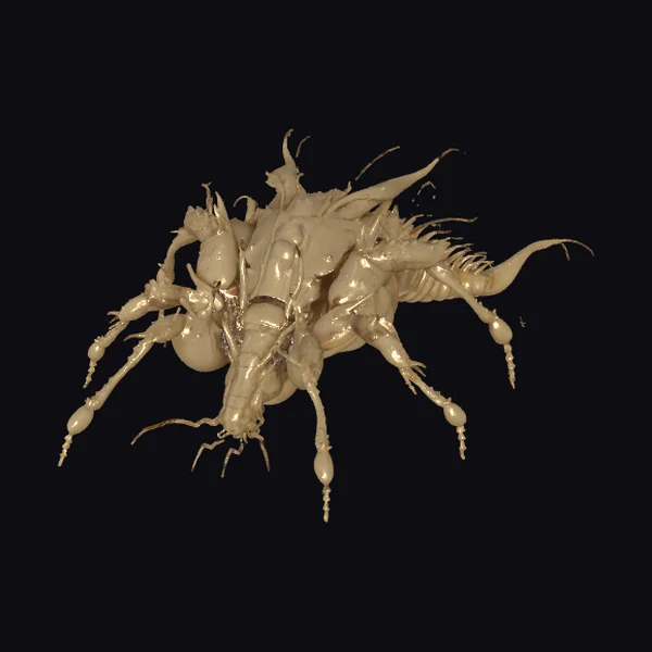 Arachnid Creature Model