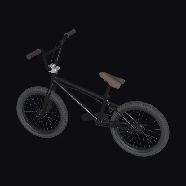 Black BMX Bike