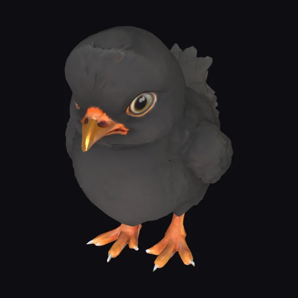 Black Bird Chicklet