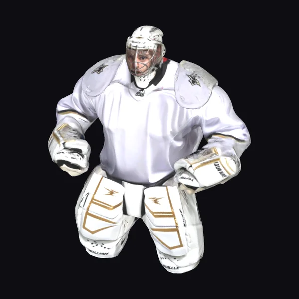 Hockey Goalie Protective Gear