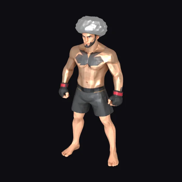 MMA Fighter Polygon Art