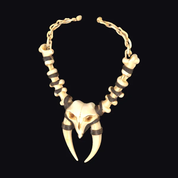 Bone Talisman Necklace