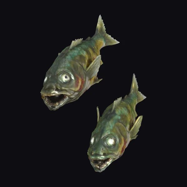 Zombie Fish Duo