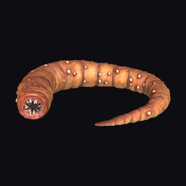 Worm with Spots