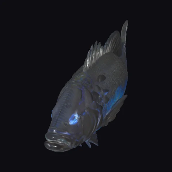 Dark Blue Large Fish