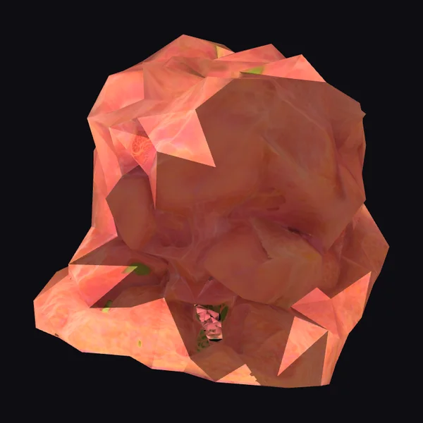 Coral Tissue with Zooxanthellae