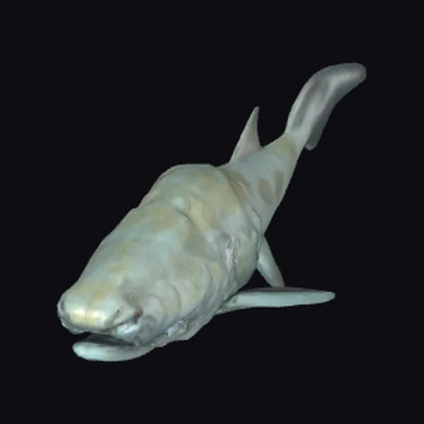 Ancient Sea Creature