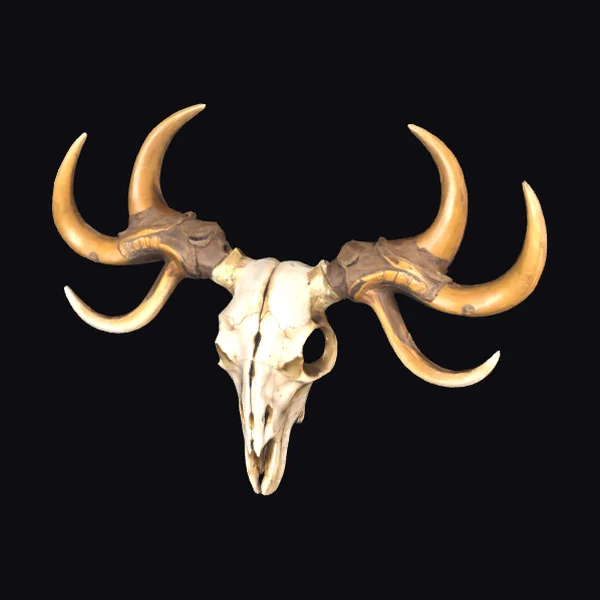 Animal Skull with Antlers