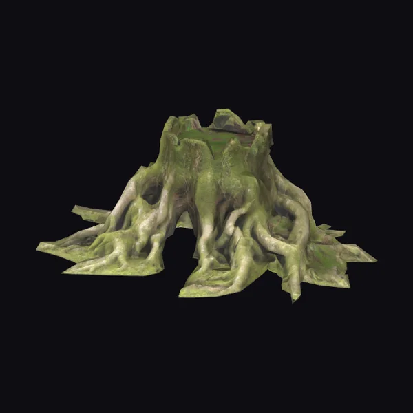 Twisted Tree Root System