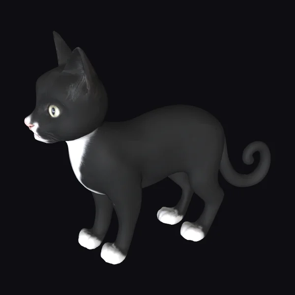 Black Cat with White Markings