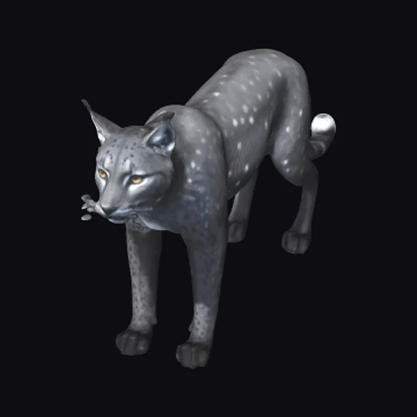 Black Lynx with Spots