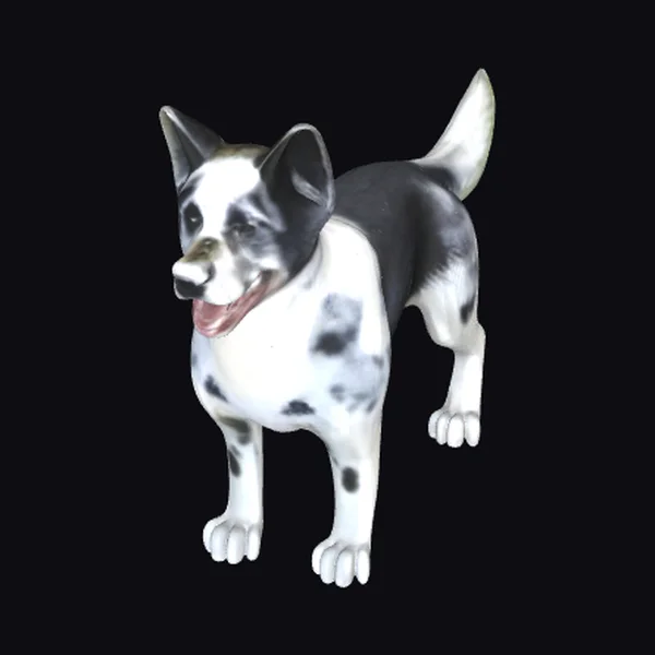 Australian Shepherd Dog