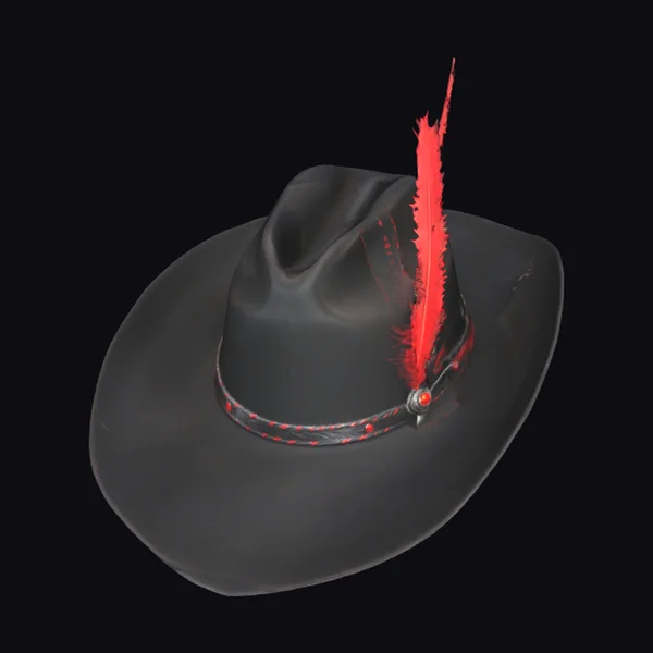 Black Cowboy Hat Feather