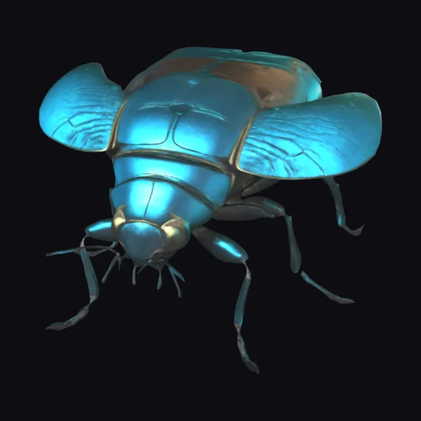 Blue Metallic Beetle