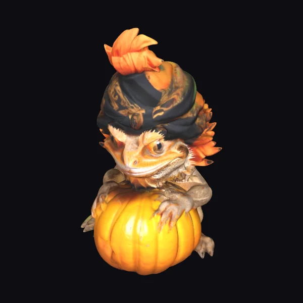 Bearded Dragon in Turban