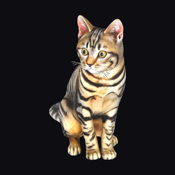 Bengal Cat Sitting