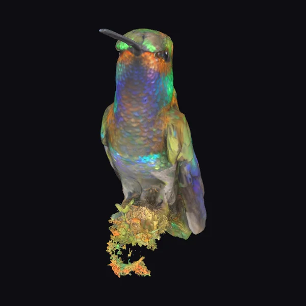 Hummingbird on Floral Branch