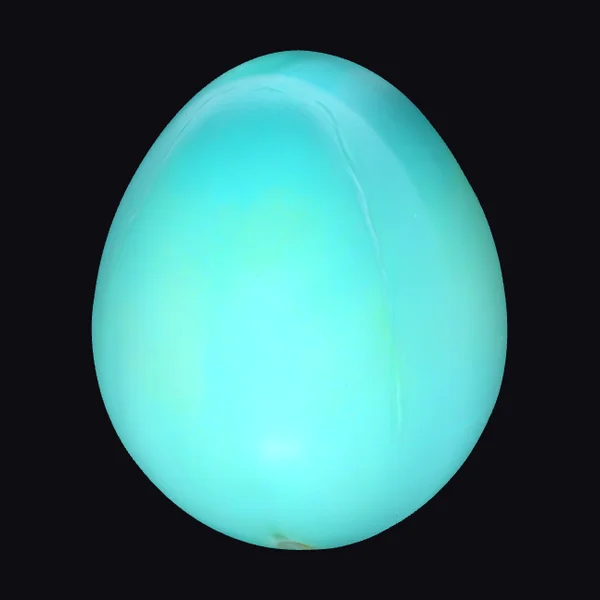 Cyan Womb Egg