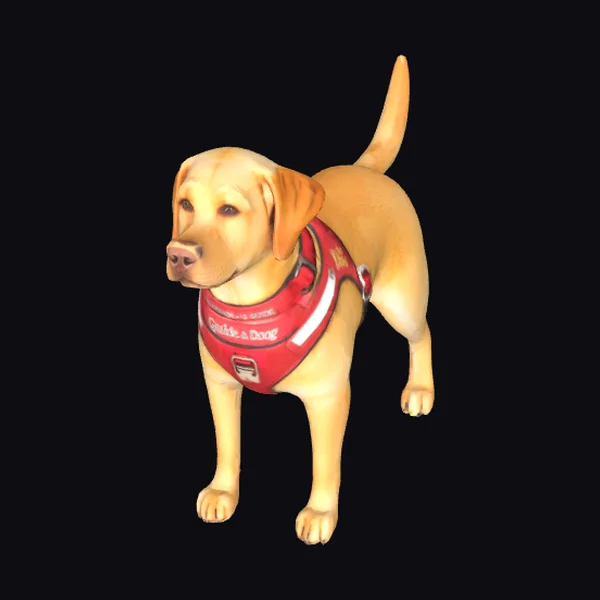 Yellow Labrador Guide Dog