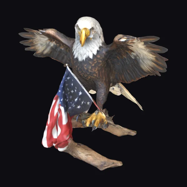 Bald Eagle with Flag