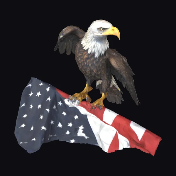 Bald Eagle on Flag