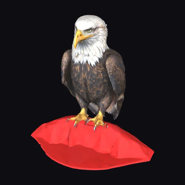 Bald Eagle on American Flag