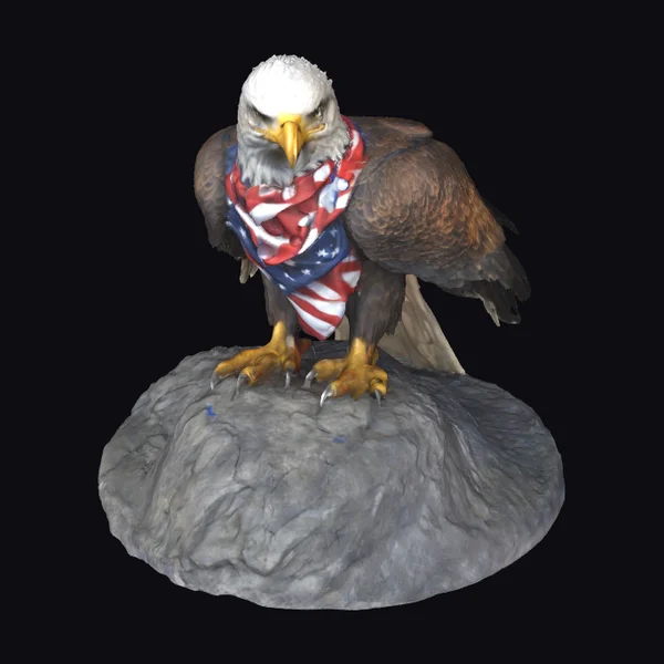 Bald Eagle on Rock